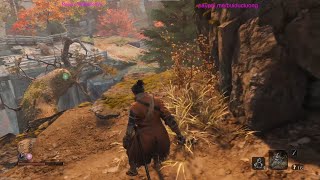 Epic Boss Fights in Sekiro Taking Down the Hardest Enemies 11 [upl. by Ymarej]