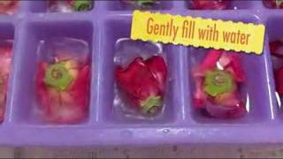 How To Make Fresh Floral Ice Cubes [upl. by Curtis719]