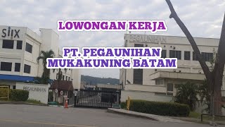 LOKER BATAM HARI INI PT PEGAUNIHAN IKLAN KOTA BATAM [upl. by Shaffert48]