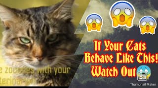 Sgns That Your Cat Wants To Talk To You Watch this [upl. by Zuzana]