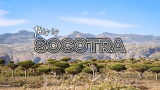 SOCOTRA Island Yemen 🇾🇪 Drone Footage [upl. by Alessig619]