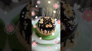 Home made chocolate sponge cake vairalshort chocolatebirthdaycake chocolatecakedecoration cake [upl. by Ilahsiav]