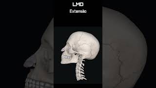 Cervical  Extensão 2  Movimento  Programa Anatomia 3D Software shorts anatomy biology [upl. by Dhruv730]