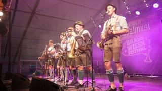 Brass Wiesn 2017  Tegernseer Tanzlmusi [upl. by Yekim188]