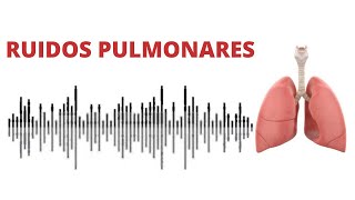 AUSCULTACIÓN PULMONAR ruidos normales y anormales [upl. by Skyla710]