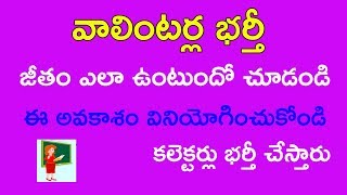 Vidya valentry jobs Telangana  vidya valentry jobs update in 2018  new update vidya valentry [upl. by Ailiec722]