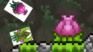 How to find plantera bulb in terraria [upl. by Kloster]