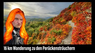 16 km Wanderung zu den Perückensträuchern in Jena [upl. by Denni]