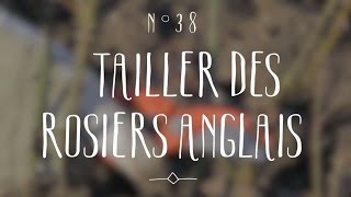 Tailler des rosiers anglais [upl. by Christi]