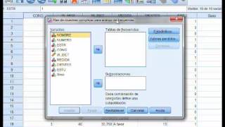 Estimación de parámetros con ponderaciones y SPSS [upl. by Enelyak]