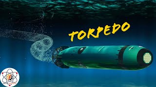 How torpedos works How submarine protects itself from torpedos vigyanrecharge [upl. by Nhguavahs]