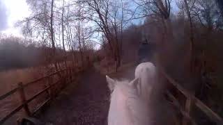 Horse Riding a circular ride around Marbury Country Park [upl. by Zoie390]