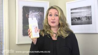 Sheepskin Woolwash Shampoo Introduction by Gorgeous Creatures 2024 [upl. by Lytsirhc881]