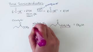 Basic transesterification [upl. by Yellat]