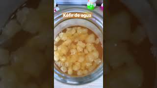 Receta KÉFIR de AGUA [upl. by Ueihttam94]