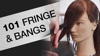 How to Cut Bangs  Fringe 101 Haircutting Tutorial  Kenra Professional [upl. by Virgilio803]