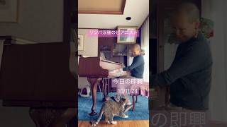 【リンパ浮腫のピアニスト lymphedema pianist】 improvisation ピアノ breastcancersurvivor 即興 pianorelaxing [upl. by Eniotna]