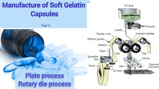 Plate process Rotary die process of manufacture of soft gelatin capsules softgel capsule machine [upl. by Rafaelle]