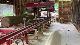 Timber buddy xp380 band sawmill Very well pleased with this thing [upl. by Newby]