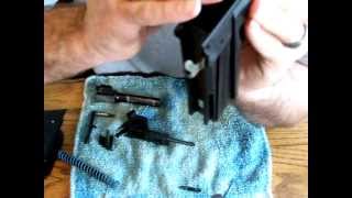 Sig Pro SP2340 SP2022 Assembly Sauer Short Trigger Disassembly Removal Installation 2 [upl. by Alya]