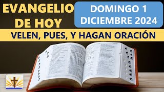 Lecturas del día de hoy Martes 10 de diciembre de 2024  Evangelio de Hoy Hermano Andrés [upl. by Rehpotsihrc]