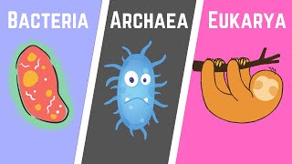 The Three Domains of Life BacteriaArchaeaEukarya [upl. by Divadnahtanoj]