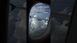 flight gamer  flight view  cheapset flight Booking 2024 sale flight shorts song [upl. by Weatherley886]