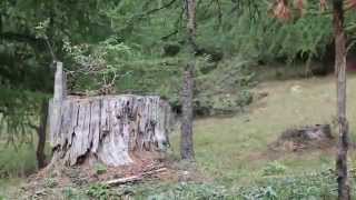 Bike park Serre Chevalier 2014 [upl. by Latsyc]