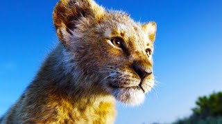 The Lion King Full Movie 2019 Fact  Donald GloverSeth RogenChiwetel Ejiofor  Review amp Fact [upl. by Adnuahsar]