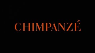 Odezenne  LIVE RECORD PAR DBURKHART  EPISODE 2  CHIMPANZÉ [upl. by Rannug]