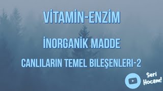 VitaminEnzimİnorganik Bileşikler Canlıların Temel Bileşenleri 2  TYT Biyoloji [upl. by Aneed]