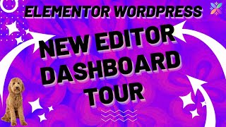 Elementors New React Dashboard Overview 🚀 Quick tour of Elementors new content management layout [upl. by Wynn844]