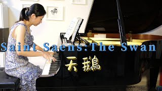 Saint Saens The Swan 聖桑 天鵝 [upl. by Legra]