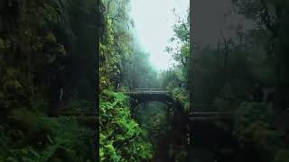 The Beauty of Unspoiled Land shorts nature subscribe foryou reels viralvideo [upl. by Sotnas13]