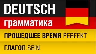 Прошедшее время Perfekt Глагол Sein Немецкий язык для начинающих Урок 1031 Елена Шипилова [upl. by Pip]