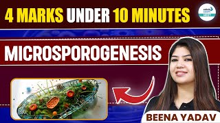 Microsporogenesis Made Easy  NEET 2025 Biology  4 Marks Under 10 Minutes [upl. by Blaine]