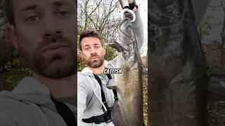 Fishing at the Fox River in Illinois 🎣 fishing fishinglife fishingvideos fishingtrip fish [upl. by Enyalaj]