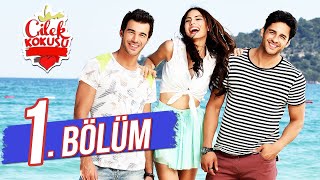 Çilek Kokusu 1 Bölüm FULL HD [upl. by Nylevol]