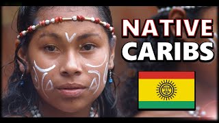 What on Earth Happened to the Taino Indigenous People of the Caribbean [upl. by Aneri]