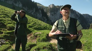 LONF fait le recensement des oiseaux en forêt de Chartreuse [upl. by Honeyman]