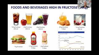 IS FRUCTOSE BAD FOR YOU THE SURPRISING TRUTH  Prof Luigi Fontana MD PhD [upl. by Harriman]