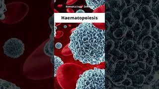 Haematopoiesis [upl. by Ogilvie]