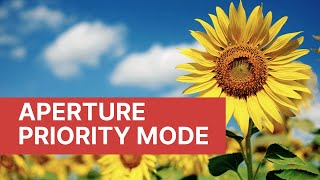 Aperture Mode  Beginner Tutorial [upl. by Feola834]