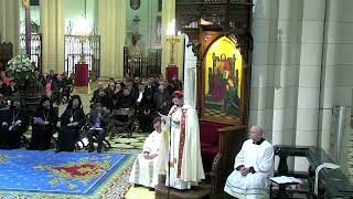 Alocución del cardenal José Cobo en la Vigilia de oración por la Paz desde la Almudena 7102024 [upl. by Orford578]