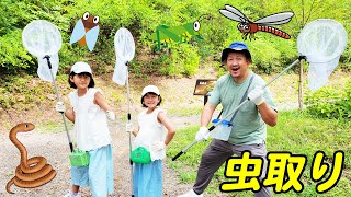 前回よりたくさん採るぞ！！夏休み♪十六沼公園で昆虫採集☆今年もヘビが出る・・・！？himawariCH [upl. by Hartzke]