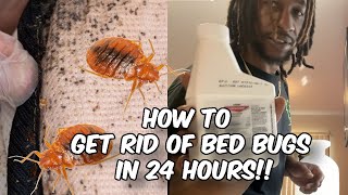 HOW TO PREVENT AND GET RID OF BED BUGS FAST  DIY PEST CONTROL [upl. by Carroll]