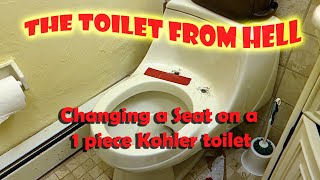 Before You Buy a Kohler One Piece Toilet Watch this Video on Replacing a Toilet Seat [upl. by Zetrom396]