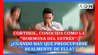 Cortisol conocida como la “hormona del estrés” ¿Cuándo hay que preocuparse realmente de ella [upl. by Burt]