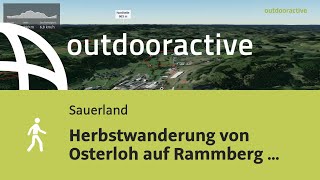 Herbstwanderung von Osterloh auf Rammberg über Friedrichsthal und Schluchtsiepen am 22 Oktober 2024 [upl. by Tanya]