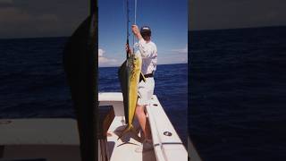 Hot Spot Sailfish in Quepos Costa Rica snapshot shorts costarica [upl. by Marney]